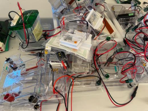 Bio-Rad Electrophoresis Cells-cover