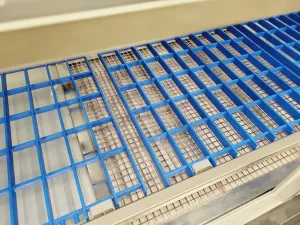 Scanbur Scantainer Cabinet Model 50-SCNT-1-110 - Animal Welfare Lab, 9 of 16