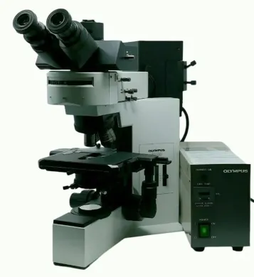 Olympus BX40 Fluorescence Microscope with Trinocular Head and Oil Immersion Objectives