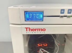 Thermo Scientific Heratherm IMC18 Benchtop Microbiological Incubator, 10 of 12