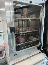Thermo Scientific HERAcell Vios 160i Double Stack CO2 Incubator for Cell Culture, 2 of 4