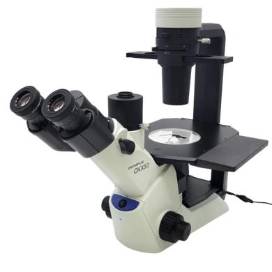 Olympus CKX53 Inverted Tissue Culture Microscope with Phase Contrast and IPC Objectives-cover