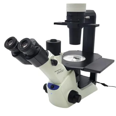 Olympus CKX53 Inverted Microscope with Phase Contrast and IPC Objectives