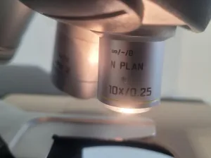 Leica DM2000 Upright Compound Microscope with 3 Infinity-Corrected Objectives, 8 of 12