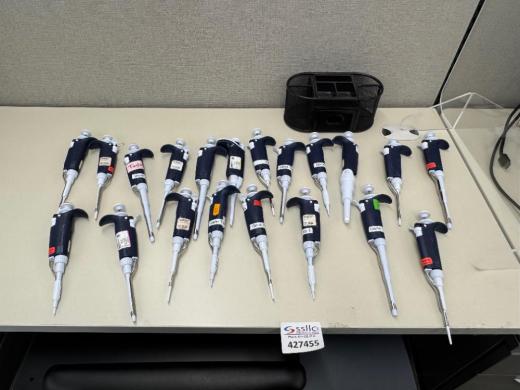 Gilson Micropipettes Quantity 20-cover