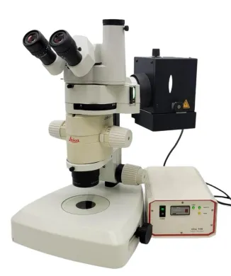 Leica MZFLIII Fluorescence Stereo Microscope with Photo Tube and Plan Apo 1x Objective