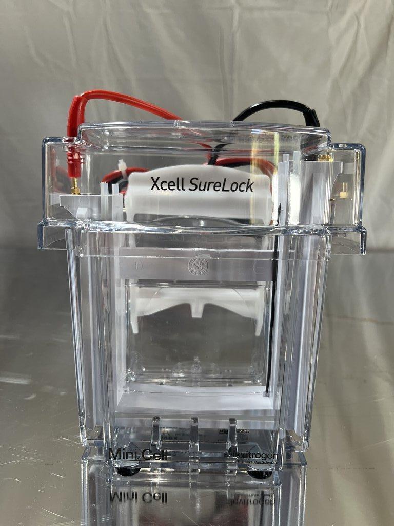 Invitrogen EI0001 XCell SureLock Electrophoresis Mini Cell for Protein and Nucleic Acid Separation