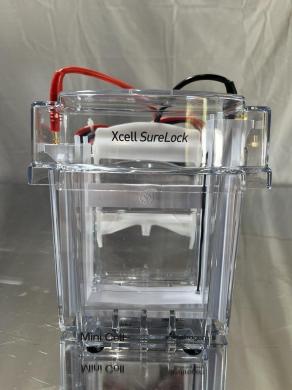 Invitrogen EI0001 XCell SureLock Electrophoresis Mini Cell for Protein and Nucleic Acid Separation-cover