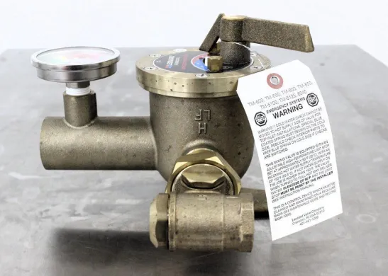 Leonard TM-600 Thermostatic Emergency Water Mixing Valve for Facility Safety Systems