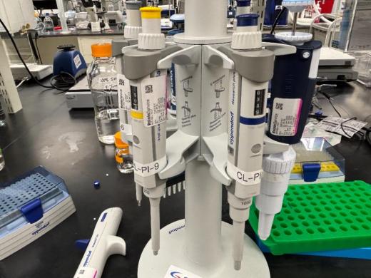 Mixed Set of Single-Channel and Multichannel Manual Pipettes with Stand-cover