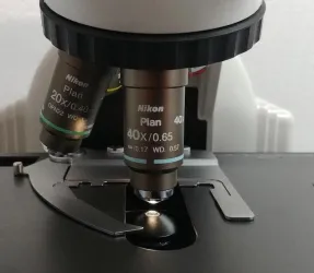 Nikon Eclipse E400 Multihead Compound Microscope with Teaching System, 6 of 12