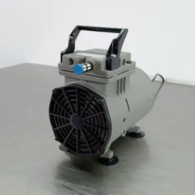 Thomas 617CD22 Oil-Free Air Compressor and Vacuum Pump