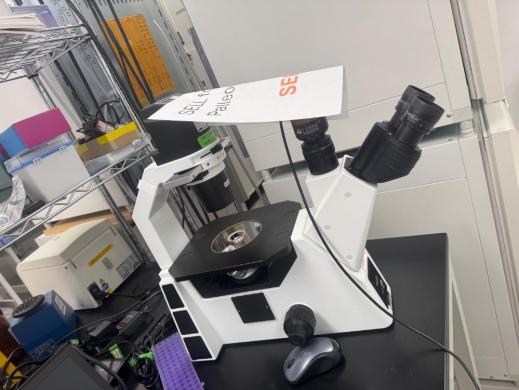 Laxco LMI6-PH1 Eco Inverted Microscope with LED Illumination-cover