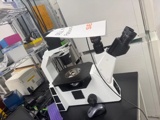 Laxco LMI6-PH1 Eco Inverted Microscope with LED Illumination